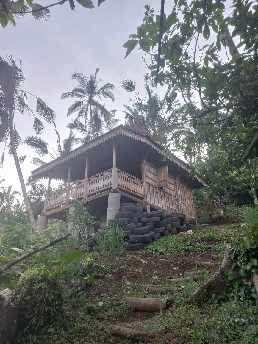 Cacao Hati Suci — photograph 2