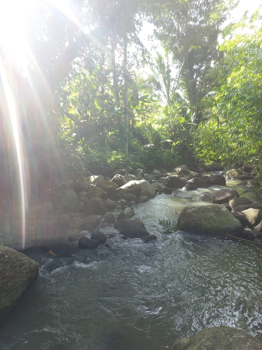 Cacao Hati Suci — photograph 4