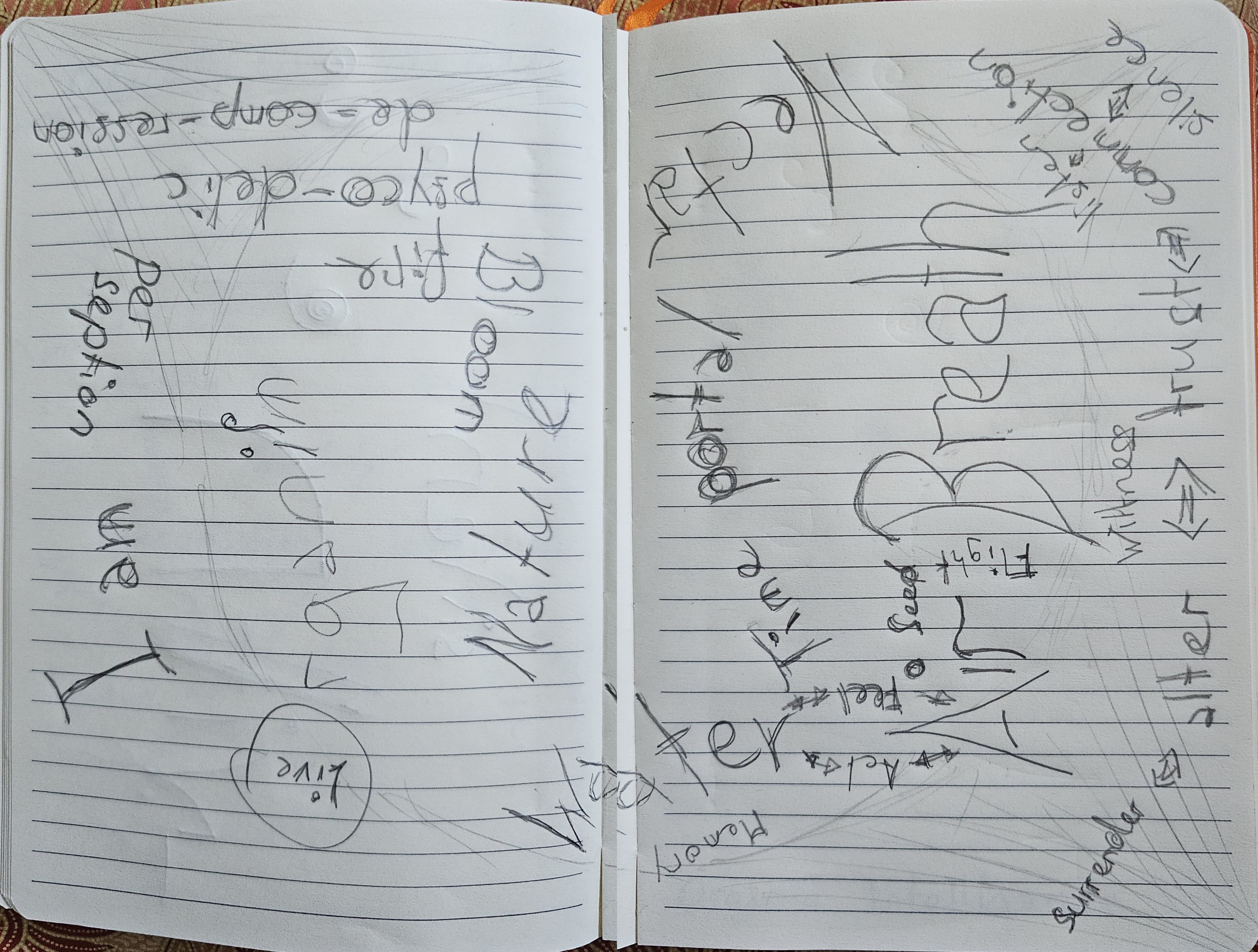 Two portrait notebook pages cropped from the originals and stitched as one open spread. Left page (4): Bloom · fire · we · Live — scattered fragments across the page, Bloom and fire and psyco-delic and de-comp-ression reading inverted, perception and I am we reading upright, Live circled. Right page (5): Breath as central organ — the word Breath written large with arrows in every direction labeled surrender, witness, true, false, isn't, connection, silence, control, structure, nectar, portal, time, food, action, memory, flight, feel, see. Across the binding at the bottom, the word Water arches — Wa finishing on the bloom-live page, ter beginning on the breath page.